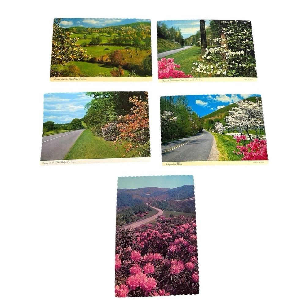 Lot of 5 Vintage Scenery Flowers Scalloped Edges Postcards